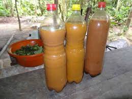 Ayahuasca Tea